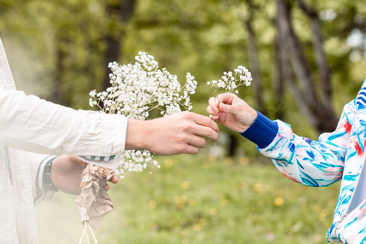 Sommarvy — Gaia önskar glad midsommar 2026